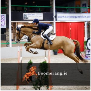 Boomerang Horse & Country