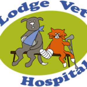 lodge-vet-hospital-logo