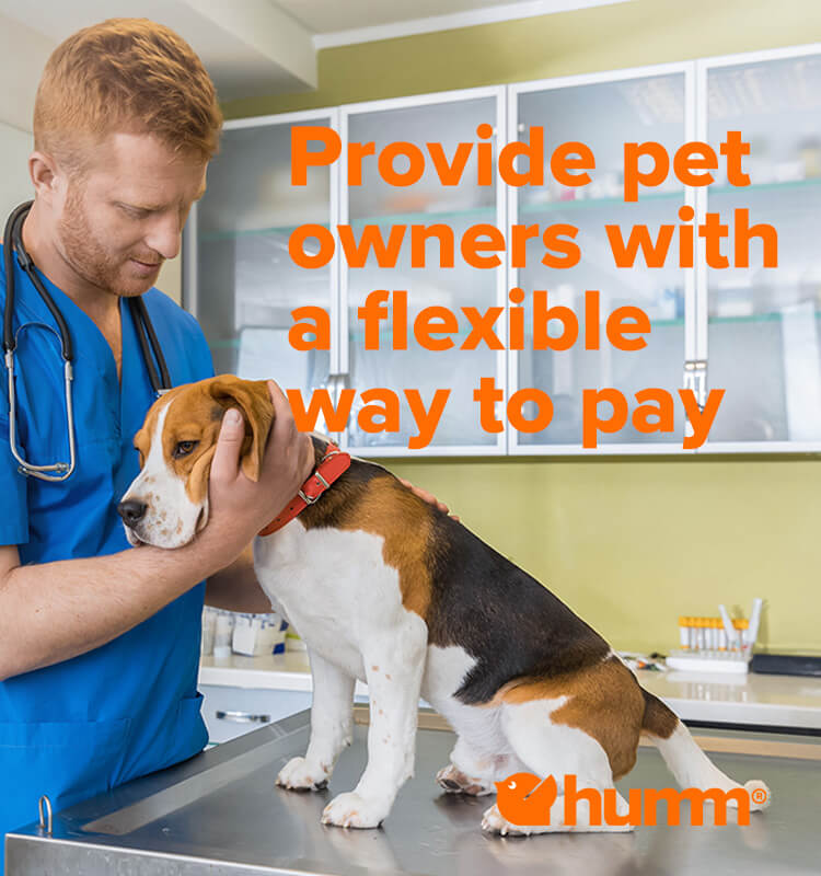 Vet Flexible Payment Options for Pet Owners Humm Canada