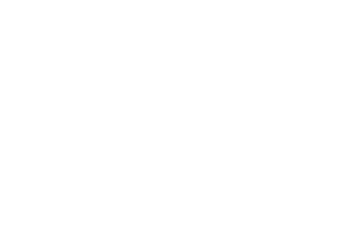 Bluestone Retaining Walls & Fencing logo