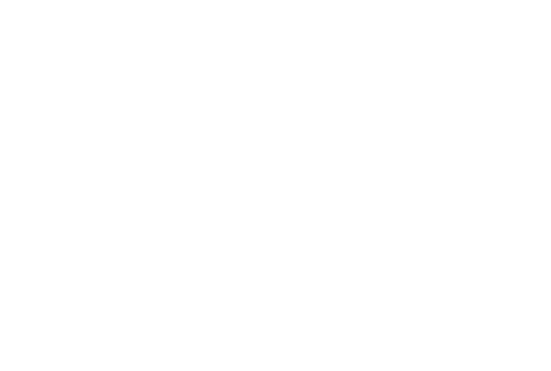 elite vin solar logo