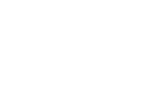 Roof Seal logo