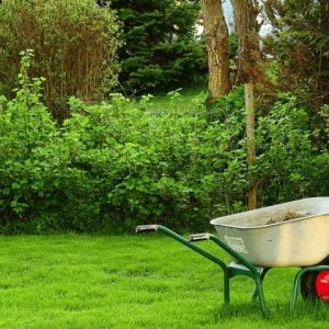 Garden_Tile4-wheelbarrow Home Improvement & Hardware Buy Now Pay Later with humm