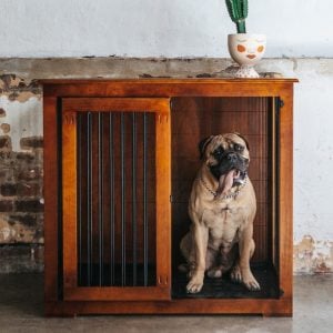 Kustom Kennels | shop with humm