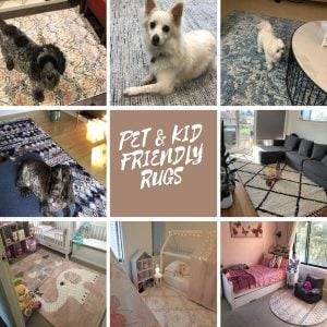 PET KID FRIENDLY RUG (002)