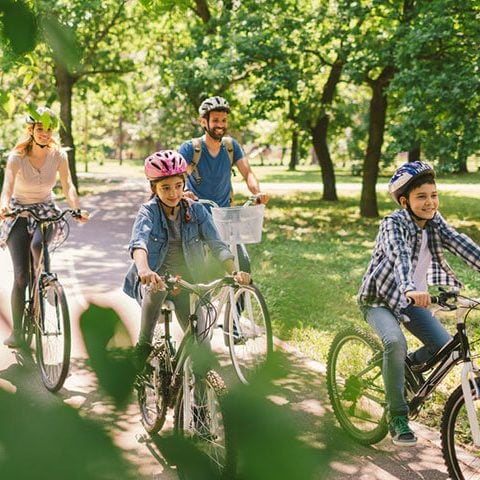 Bikes