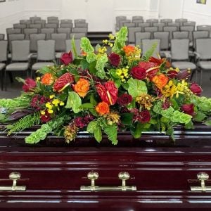 cropped photo for Humm