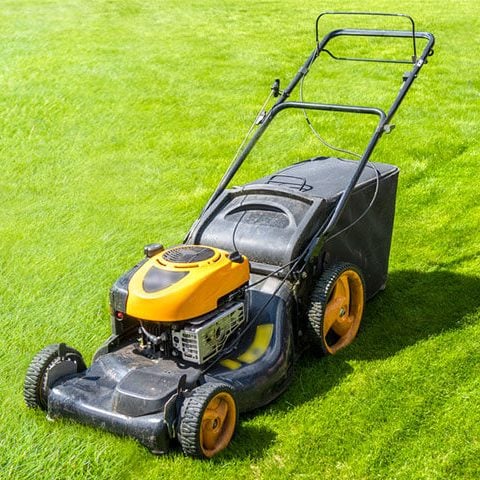 Lawn Mowers